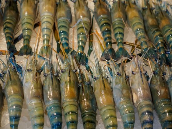 Most Pacific whiteleg shrimp supply in the UK come from the Far East and Central America.