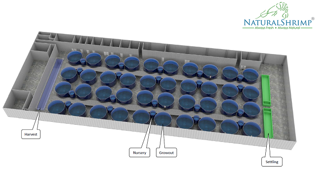 Perseus Strømcelle give NaturalShrimp expands RAS farm in LaCoste, Texas - RASTECH Magazine