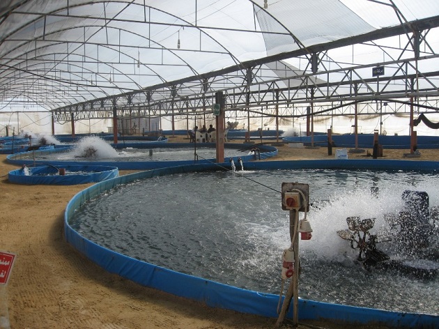 Indian state pushes biofloc tech for land-based aquaculture - RASTECH  Magazine