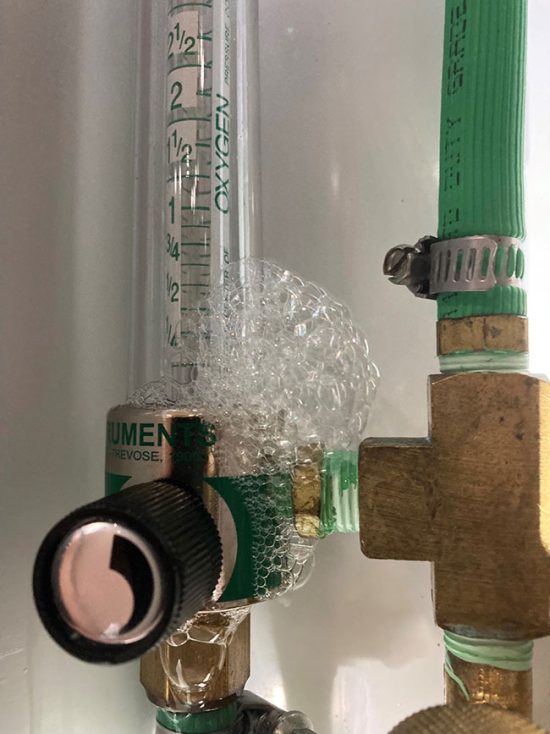 Fresh Tips How to reduce oxygen waste in a RAS system RASTECH MagazineRASTECH Magazine