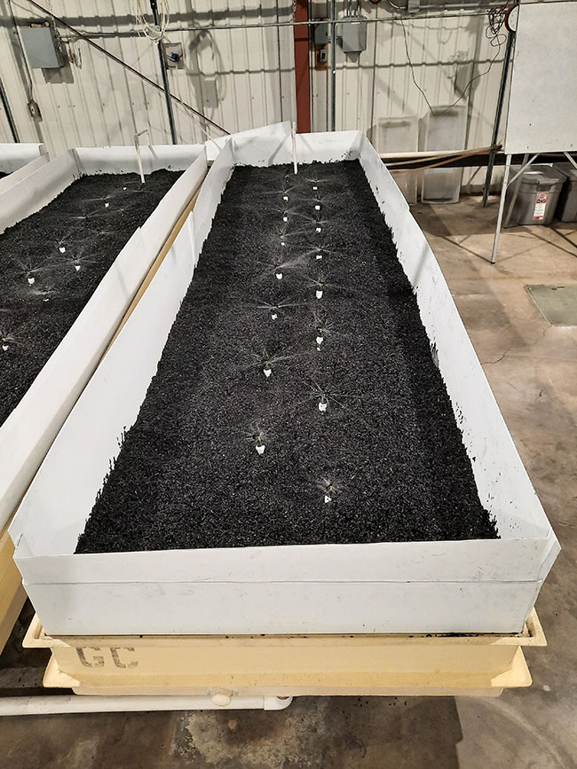 black-carbon-bed
