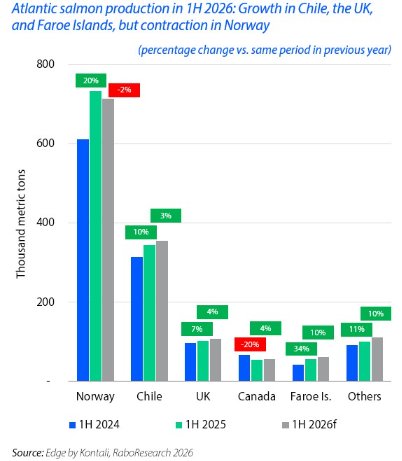 Global seafood markets ‘cautiously optimistic’ in 2026: report